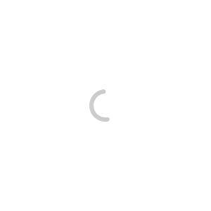 Entwickler